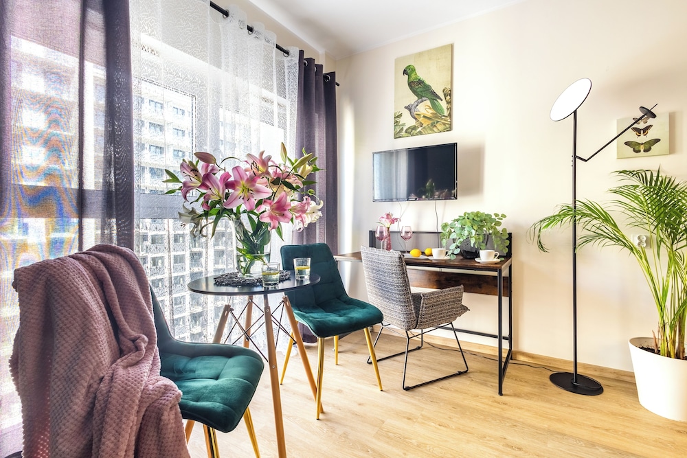 Standard Studio Suite