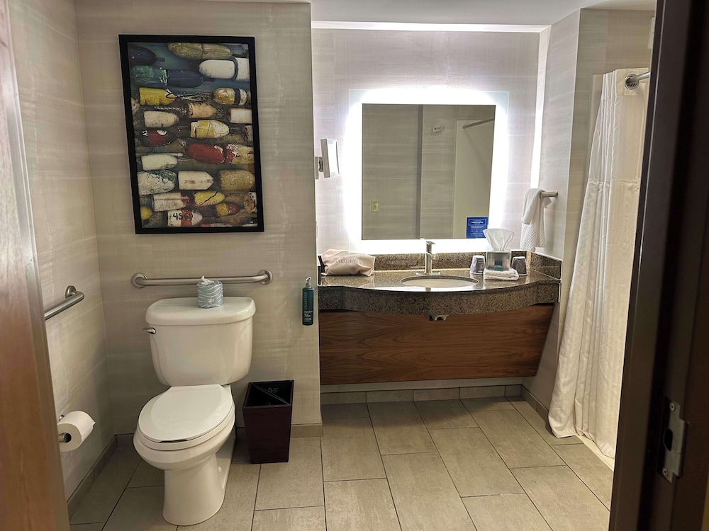 Room, 1 King Bed, Accessible, Non Smoking (Roll-In Shower) - Photo 6