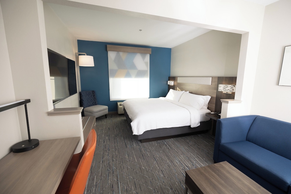 Suite, 1 King Bed with Sofa bed photo 2