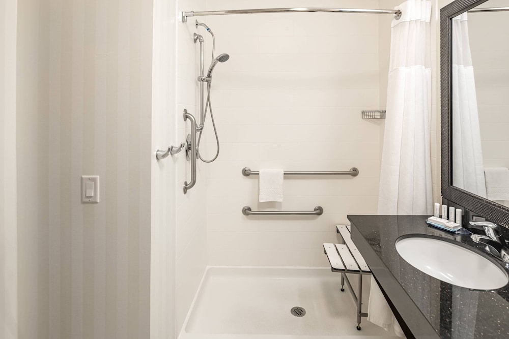 Room, 1 King Bed (Mobility/Hearing Access, Roll-In Shwr)