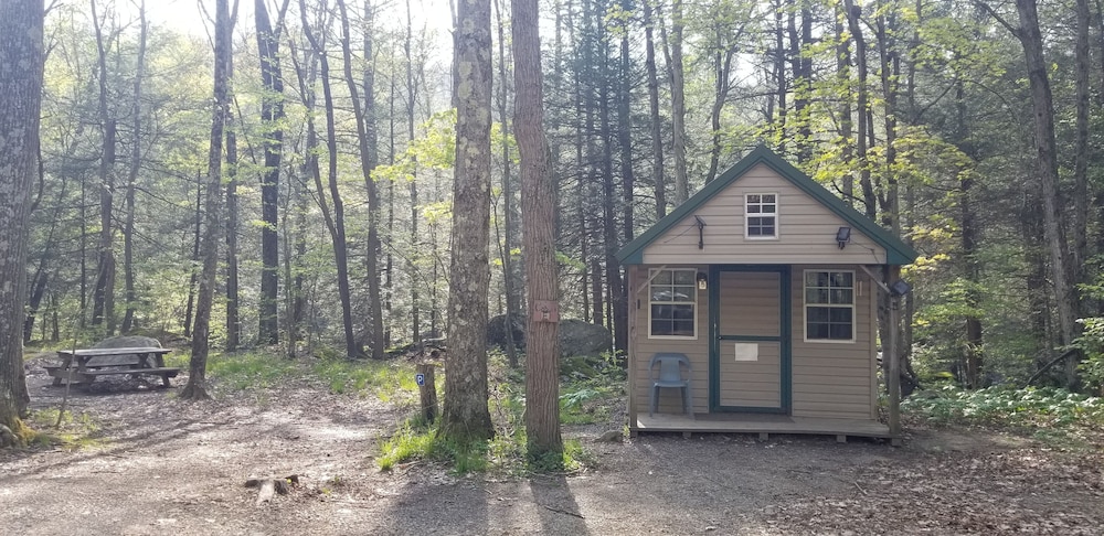 Cabin E photo 3