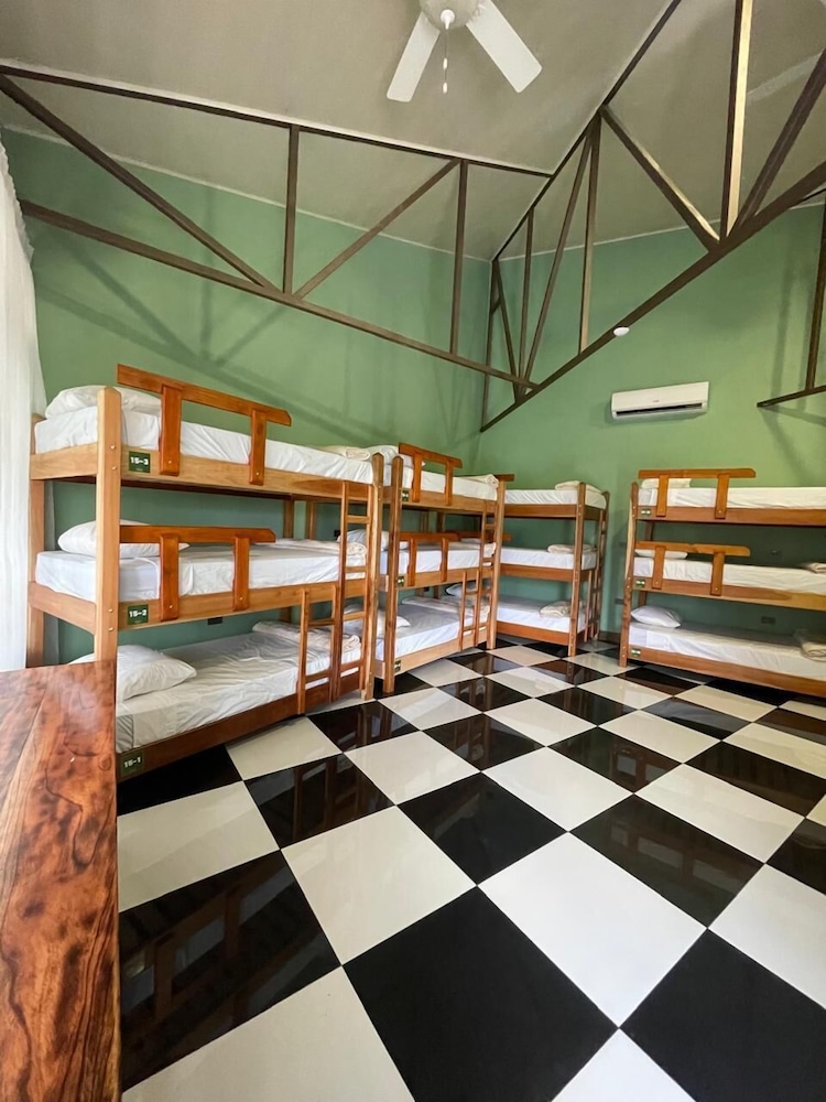 Deluxe Shared Dormitory, Multiple Beds, Non Smoking, Mountain View