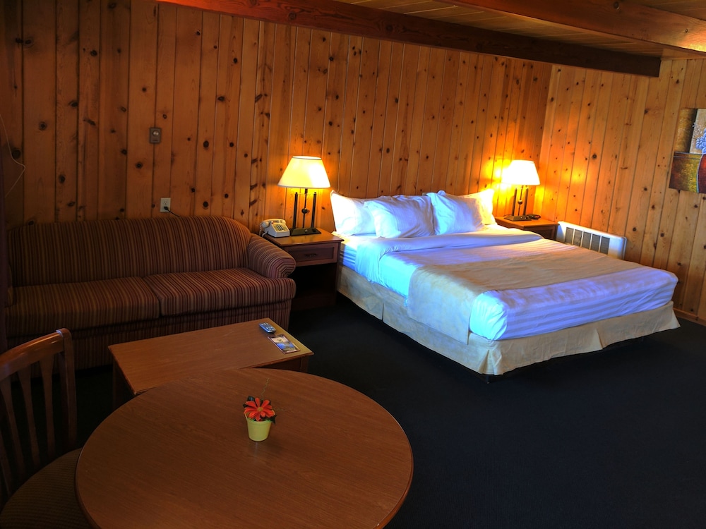 Standard Room, 1 King Bed with Sofa bed photo 2
