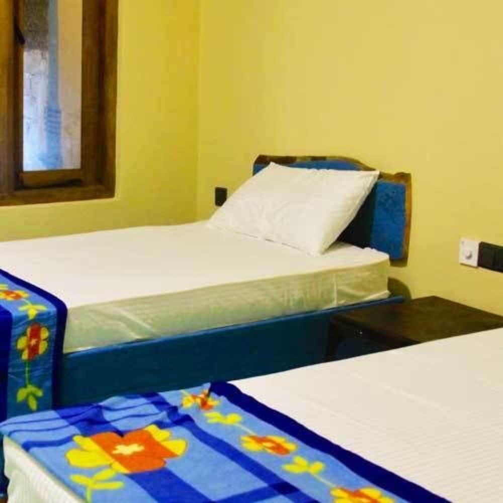 Non A/C Twin Or Double Room photo 1