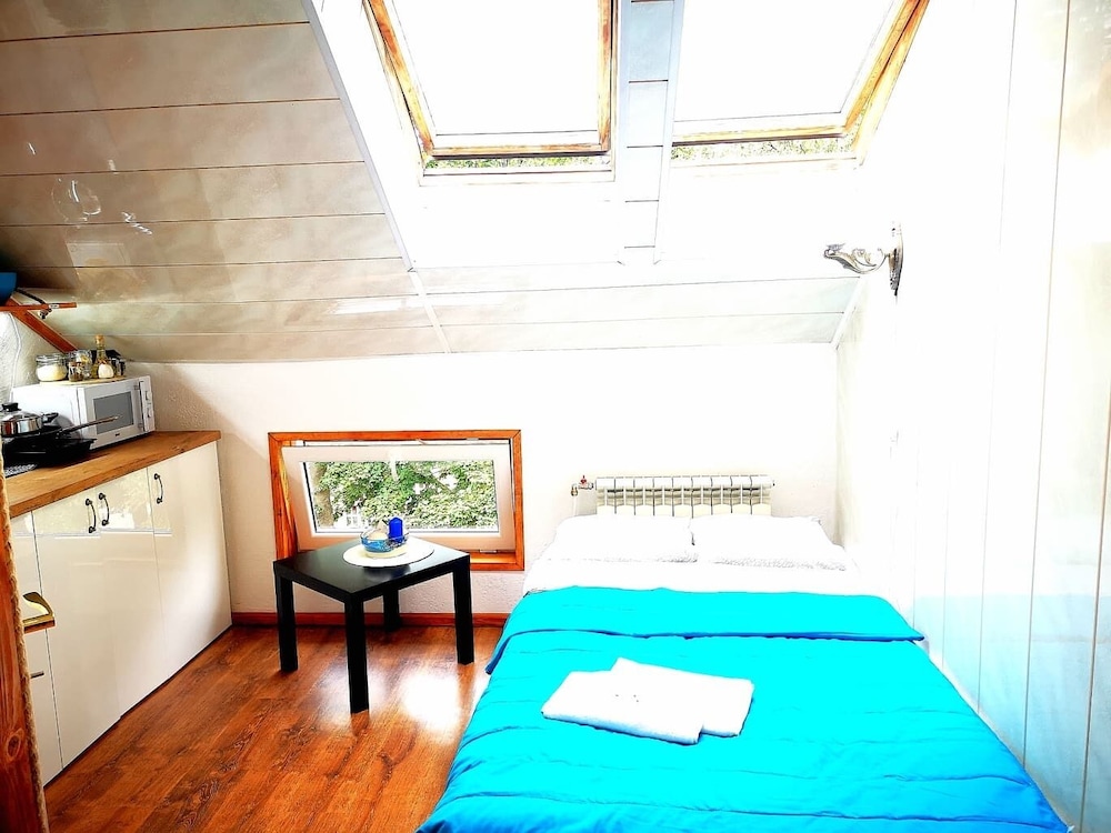 Meridian Studio with Sauna photo 1