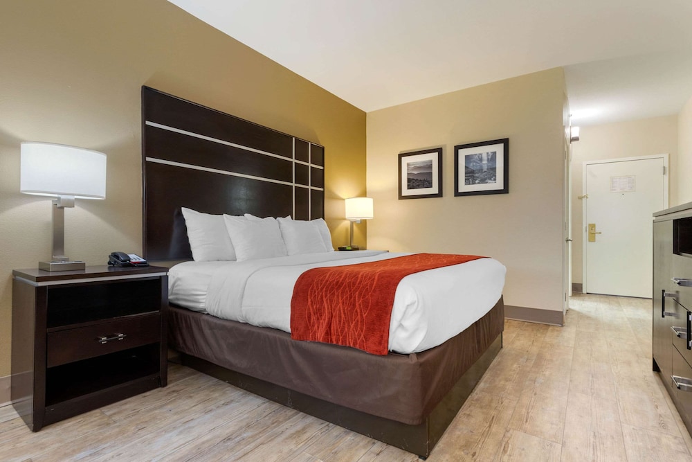 Standard Room, 1 King Bed, Non Smoking - Photo 8