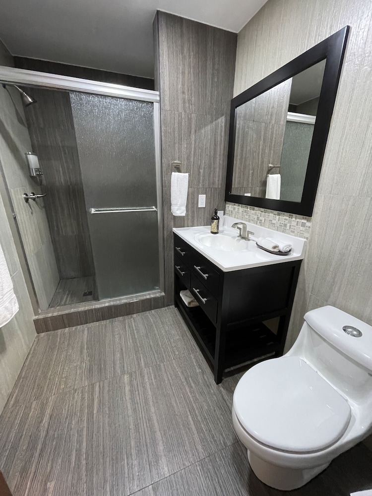 Standard Studio Suite, 1 King Bed, Accessible, Garden View photo 3