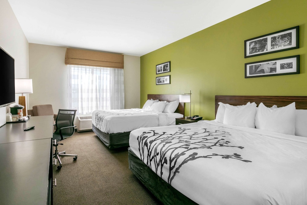 Room, Multiple Beds, Non Smoking photo 3