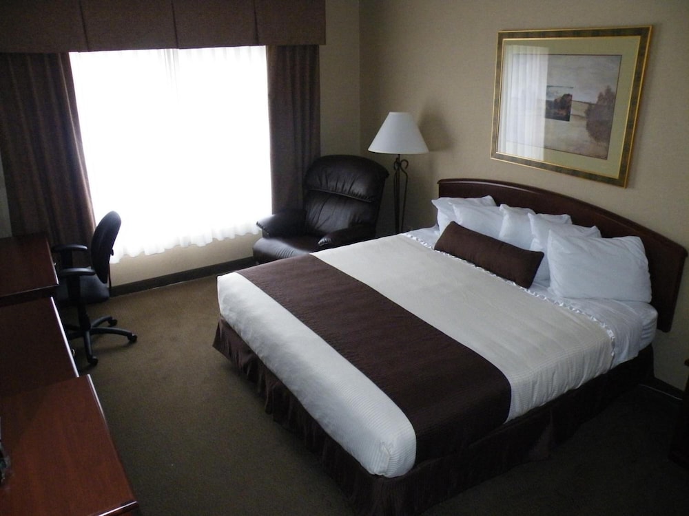 Standard Room, 1 King Bed photo 1