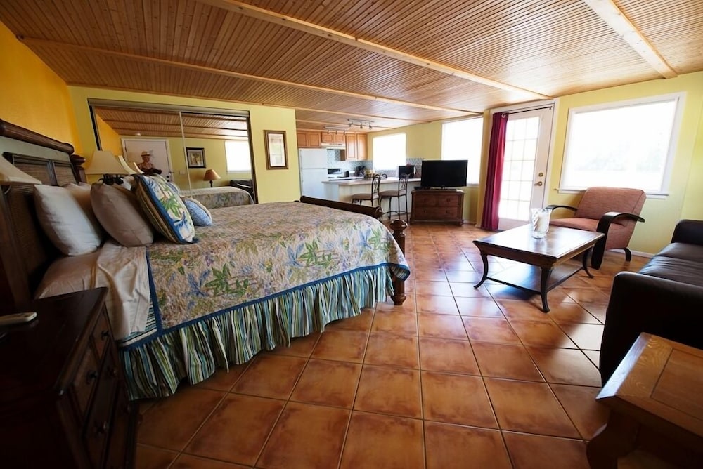 Studio Suite, 1 King Bed with Sofa bed, Kitchen photo 1