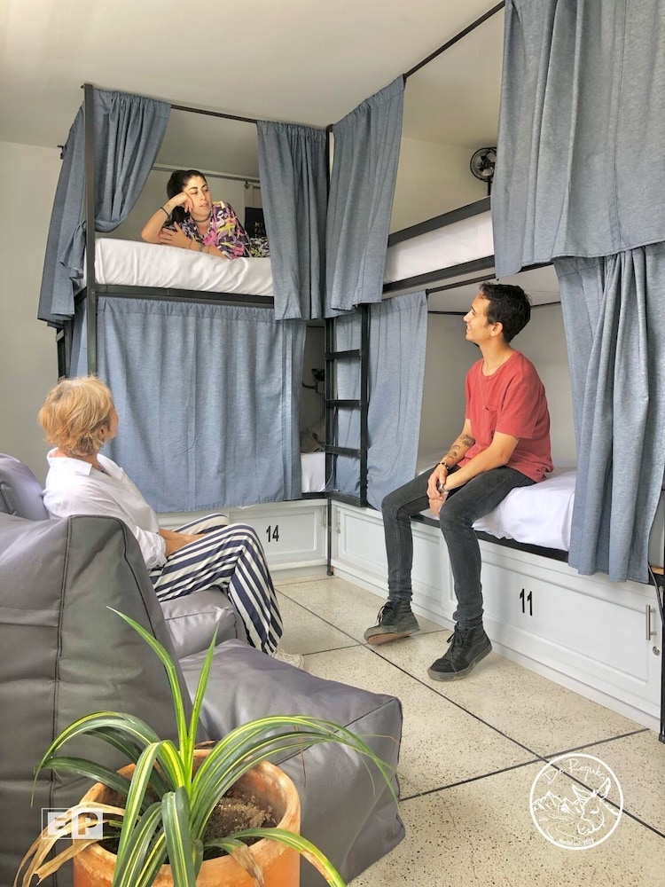 Deluxe Shared Dormitory photo 2