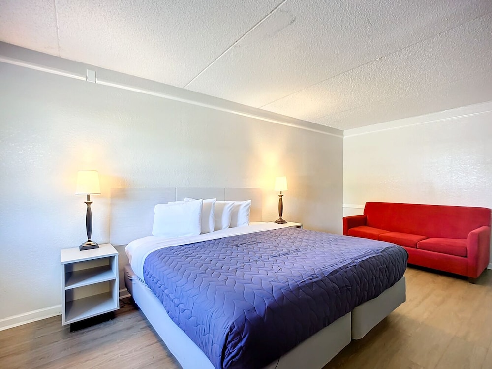 Room, 1 King Bed with Sofa bed photo 2