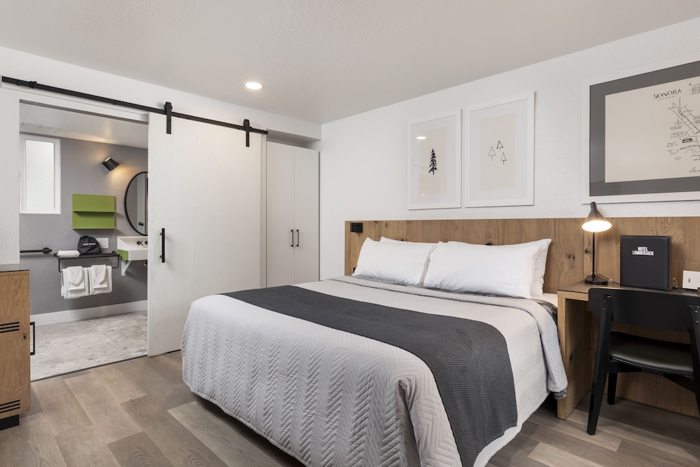 Room, 1 King Bed, Roll-in Shower photo 1