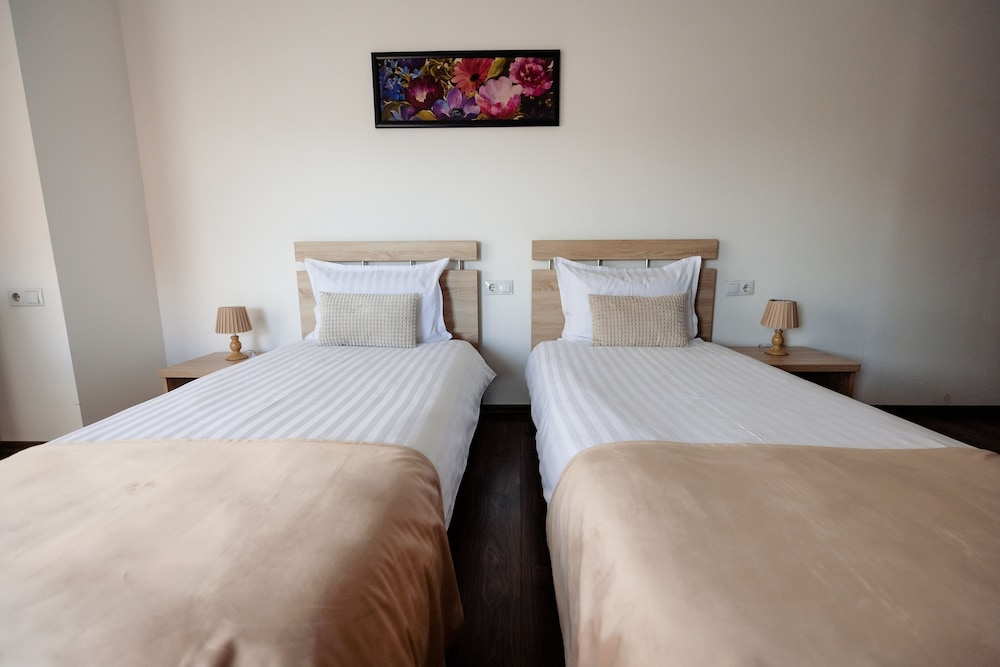 Deluxe Twin Room photo 3