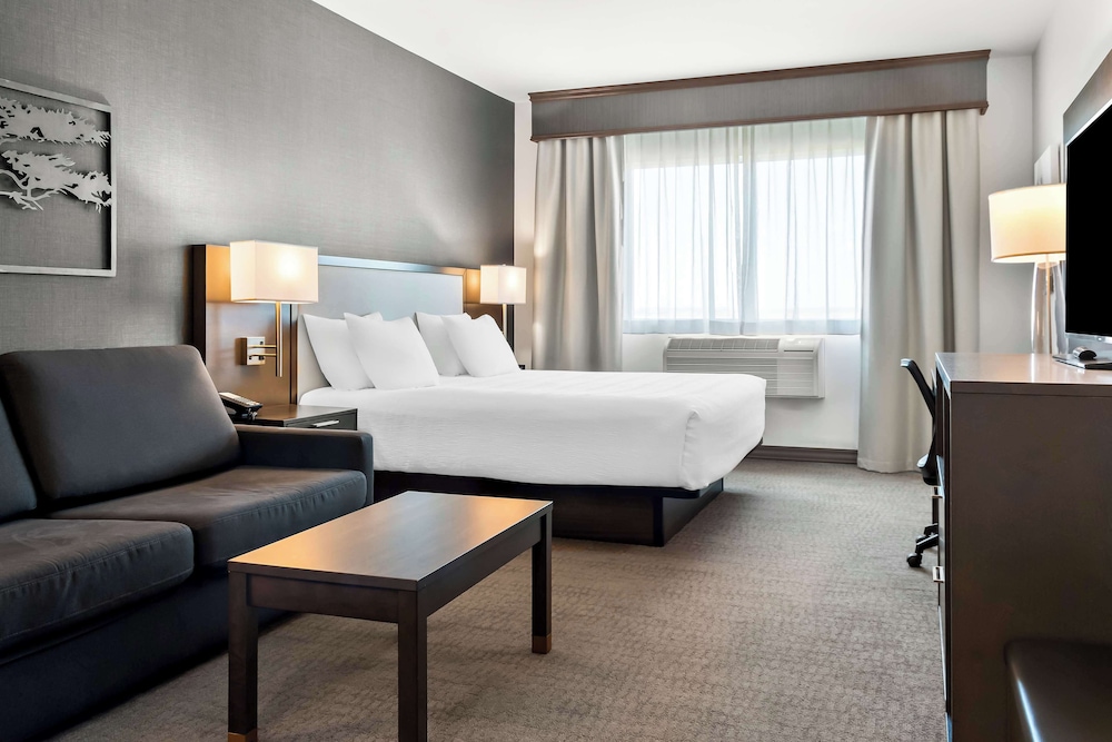 Standard Room, 1 King Bed, Refrigerator & Microwave (Shower Only) - Photo 4
