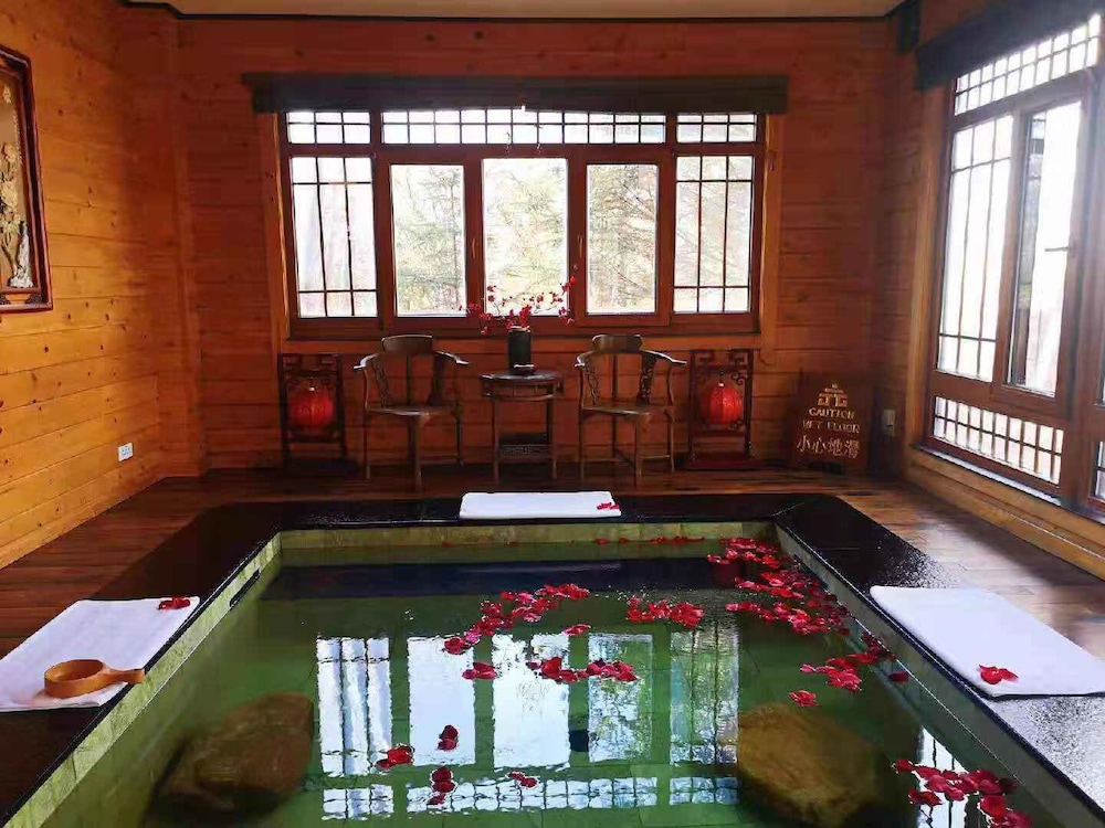 Deluxe Villa photo 3