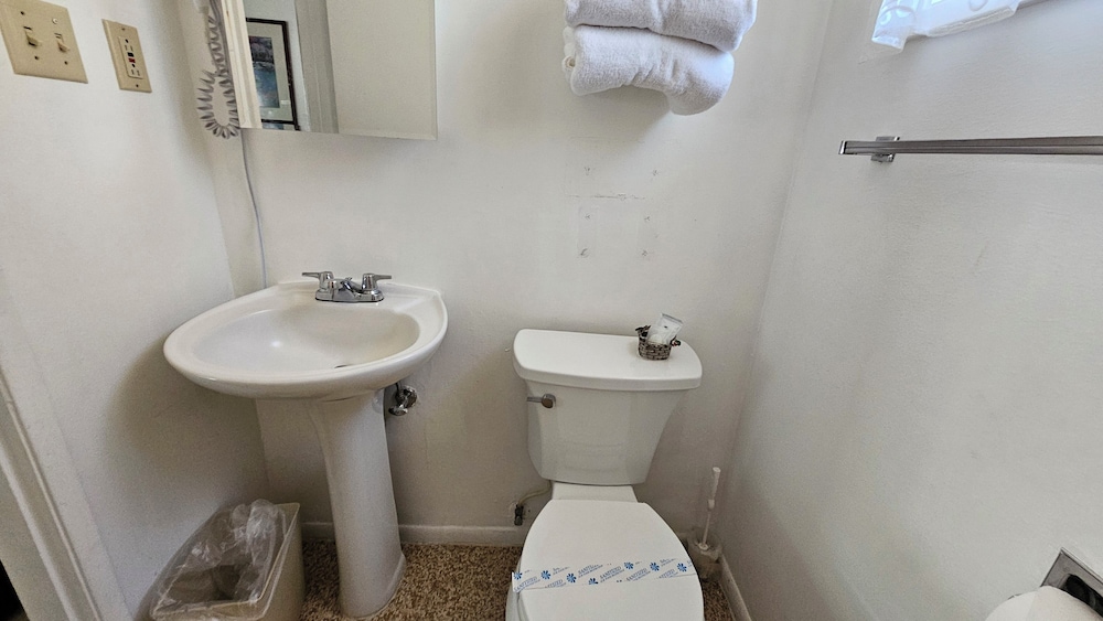 Comfort Room, 1 Bedroom photo 3