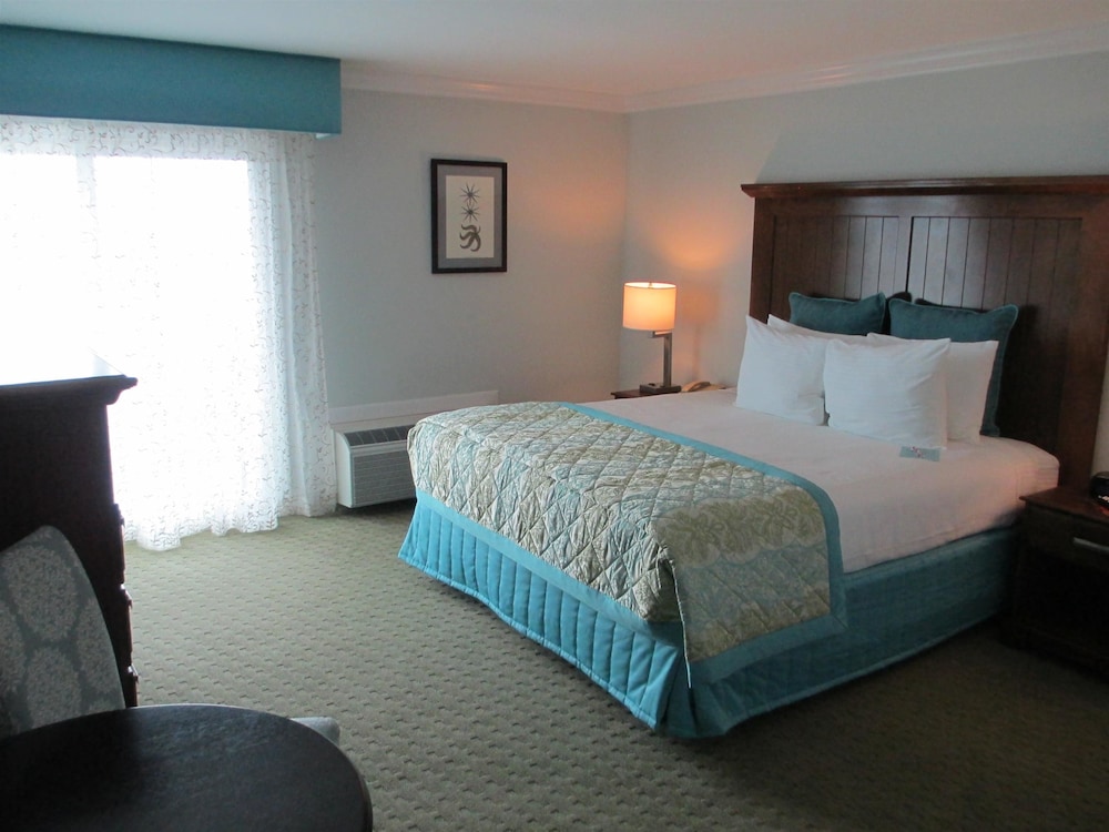 Standard Room, 1 King Bed, Accessible - Photo 1