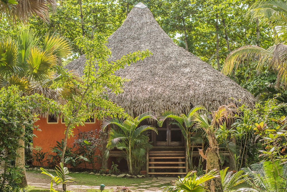 Superior Bungalow, 2 Bedrooms - Photo 8