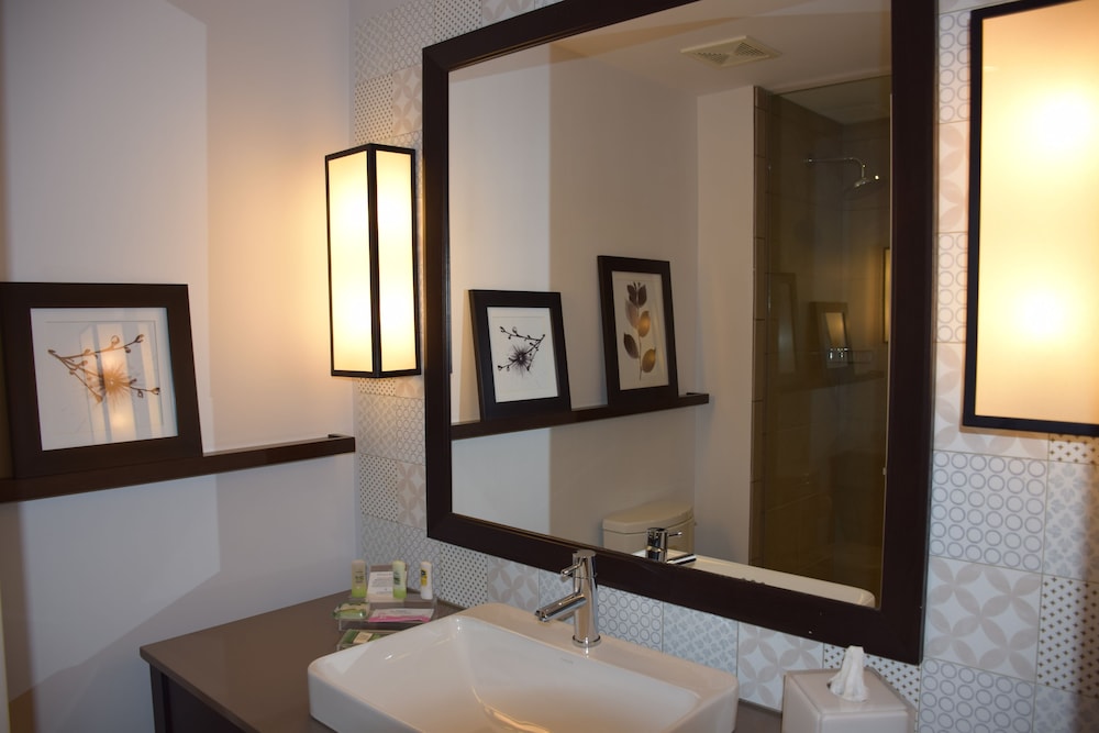 Premium Suite, 1 King Bed, Non Smoking photo 3