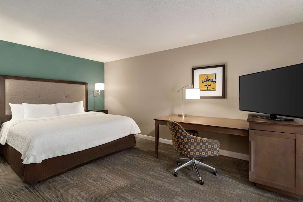 Junior Suite, 1 King Bed, Jetted Tub (with Sofa Sleeper) - Photo 8