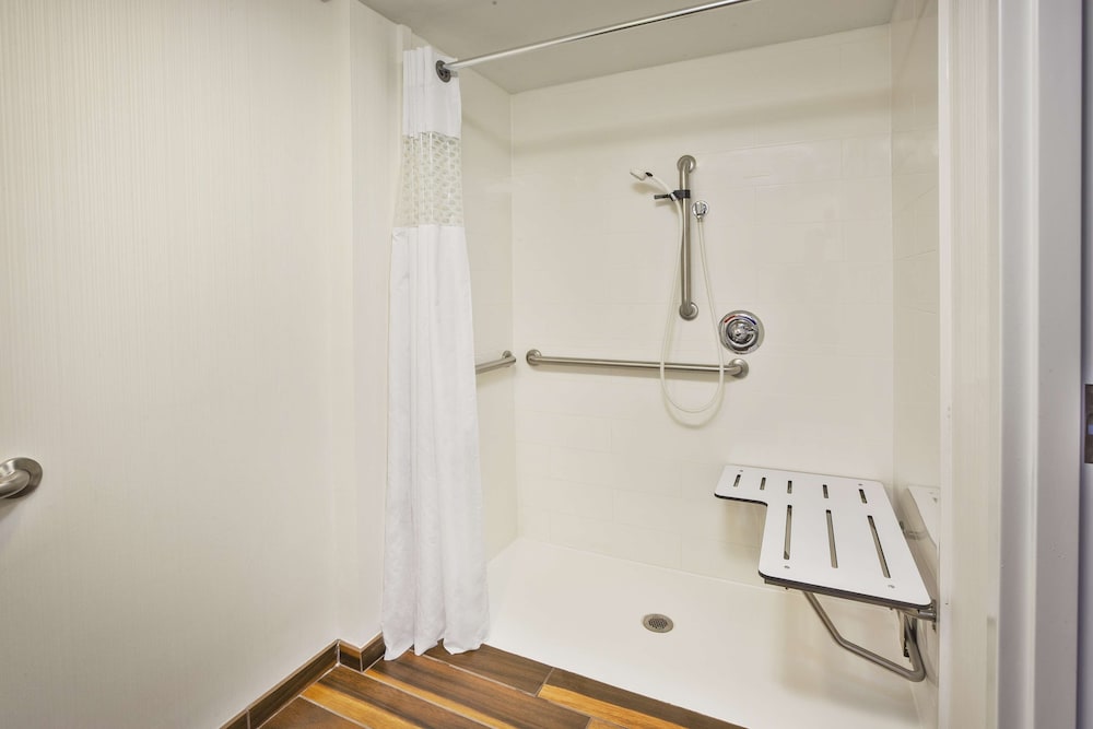 Room, Accessible, Non Smoking (Roll-in Shower)