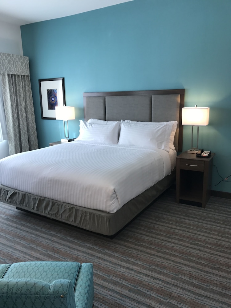 Suite, 1 King Bed, Accessible, Non Smoking (Comm, Roll Shwr) photo 2