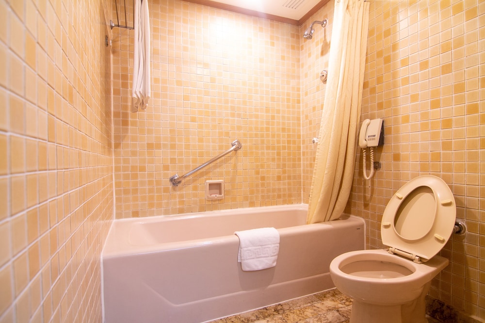 Park Tower Suite - Photo 7