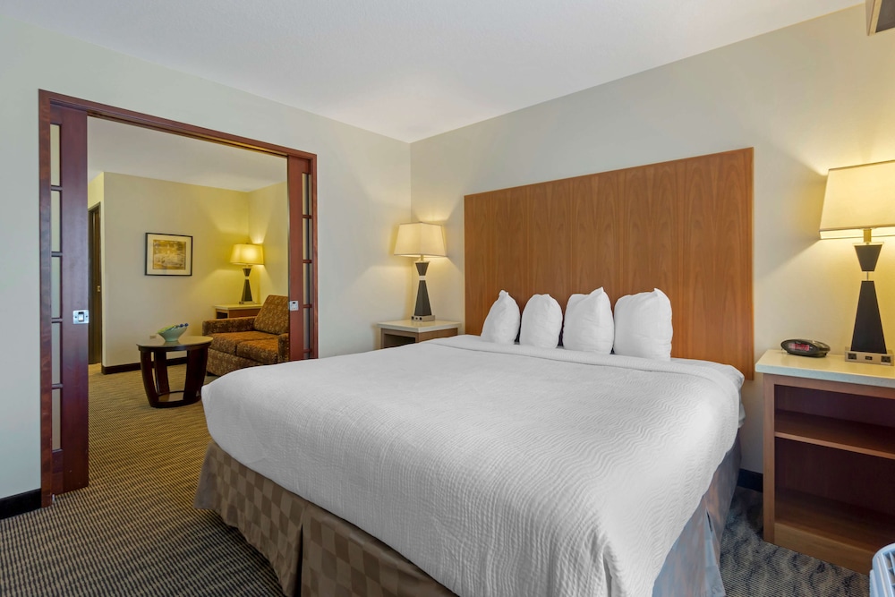 Suite, 1 King Bed, Non Smoking, Refrigerator & Microwave (with Sofabed) photo 2