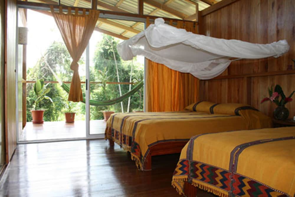 Superior Room, 2 Double Beds photo 2