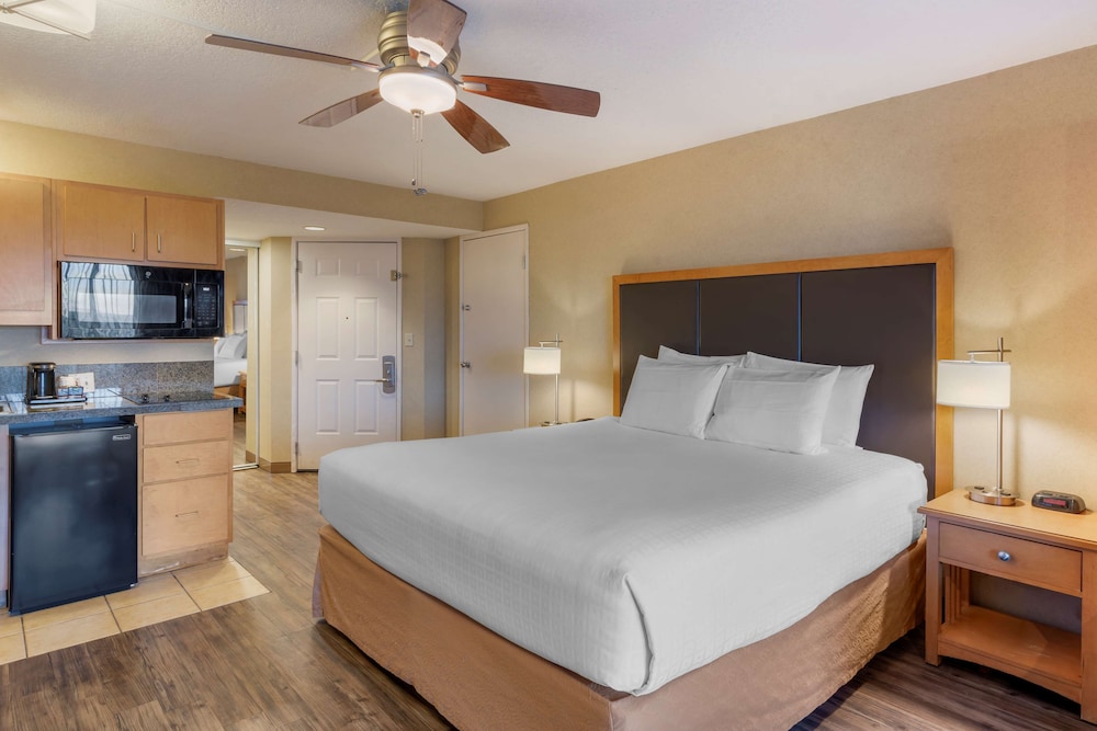 Standard Room, Multiple Beds, Non Smoking, Kitchenette (Pet Friendly) photo 1