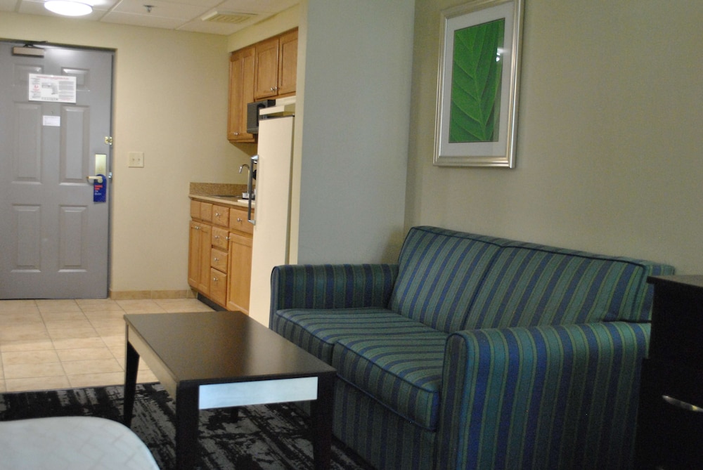 Standard Room, 1 King Bed, Non Smoking, Refrigerator & Microwave (with Single Sofabed) - Photo 4