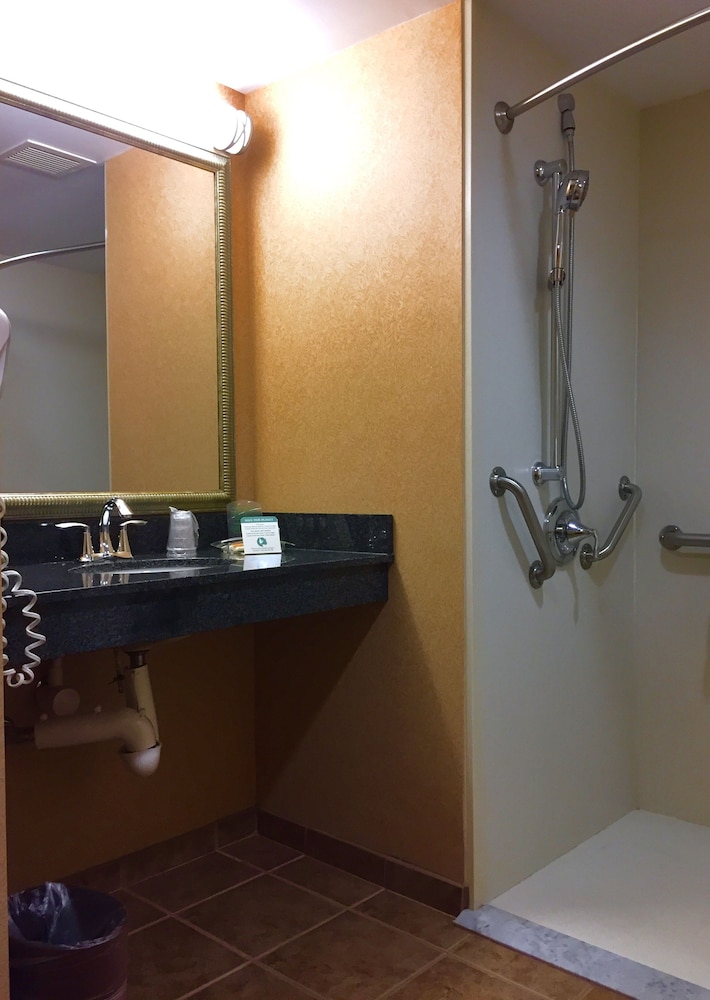 Standard Room, 1 King Bed, Accessible (Communications, Roll-In Shower) photo 3