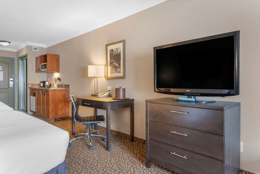 Standard Room, 1 King Bed, Non Smoking, Refrigerator & Microwave photo 2