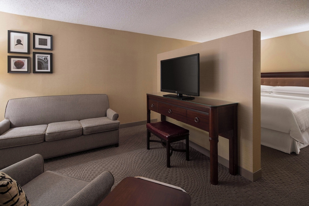 Premium Room, 1 King Bed (1 Sofa bed) - Photo 5