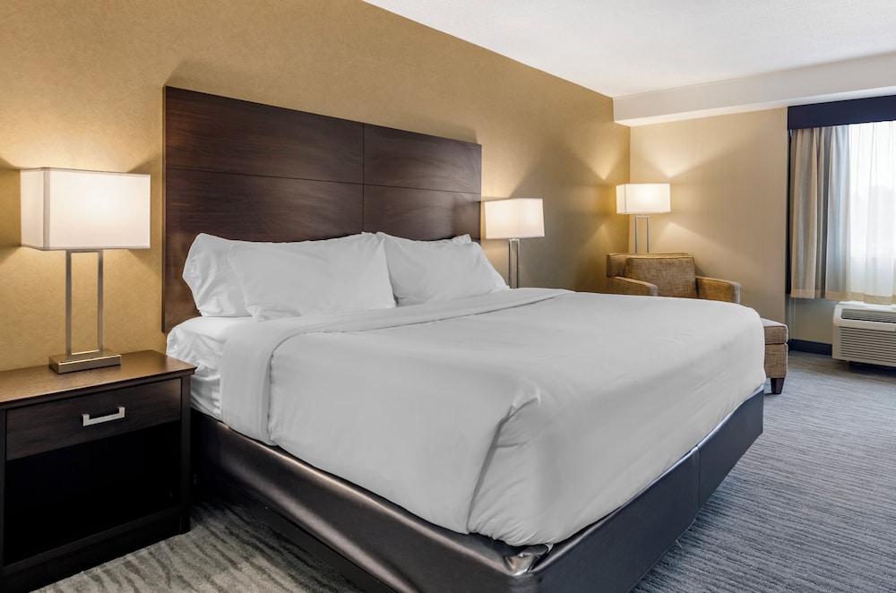 Basic Single Room, 1 King Bed, Roll-in Shower