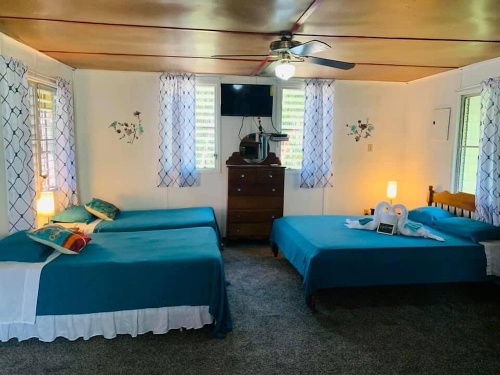 Deluxe Room photo 1