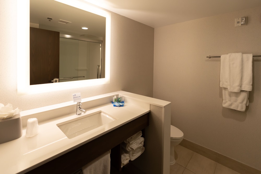 Suite, 1 Bedroom (Living Room) - Photo 7