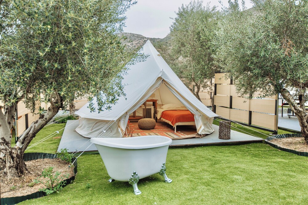 Tent, Patio, Courtyard View photo 1