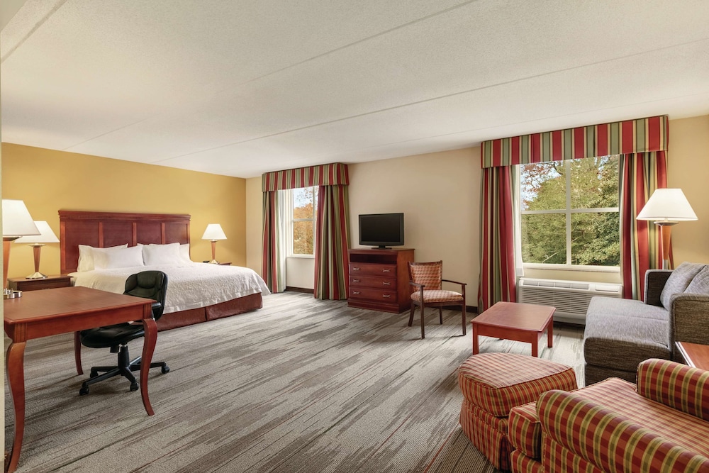 Signature Studio Suite, 1 King Bed, Accessible photo 2