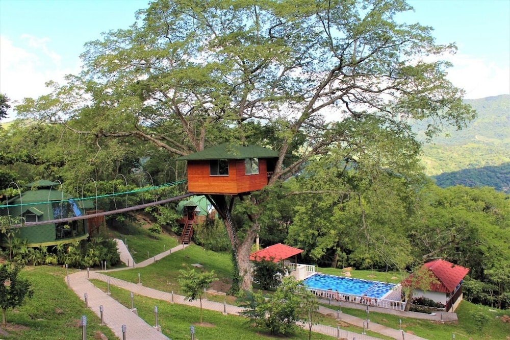 Deluxe Tree House, Balcony, Mountain View photo 1