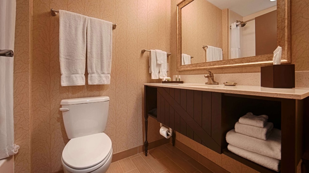 Suite, Multiple Beds, Non Smoking, Refrigerator & Microwave (With Sofabed) photo 3