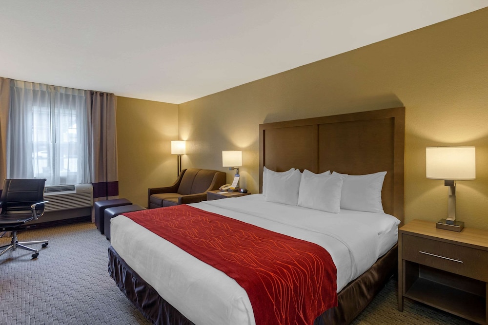 Standard Room, 1 King Bed with Sofa bed, Non Smoking - Photo 1