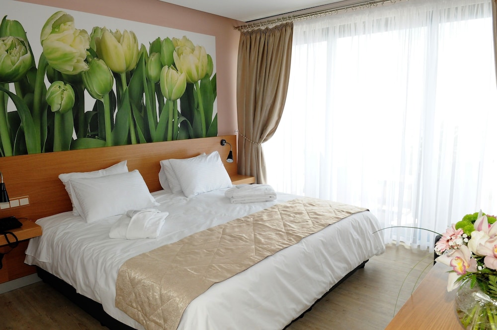 Standard Double Room, Balcony, Sea View photo 1