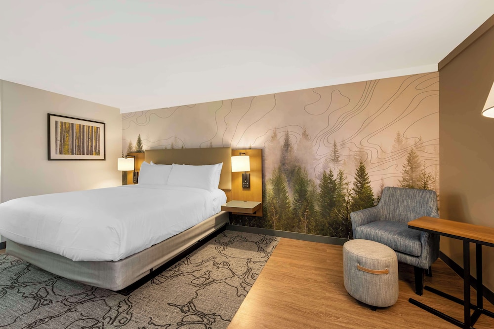 Standard Room, 1 Queen Bed, Accessible, Refrigerator & Microwave photo 2
