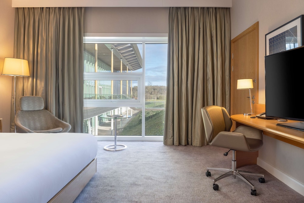 King Accessible Deluxe Room - Photo 7
