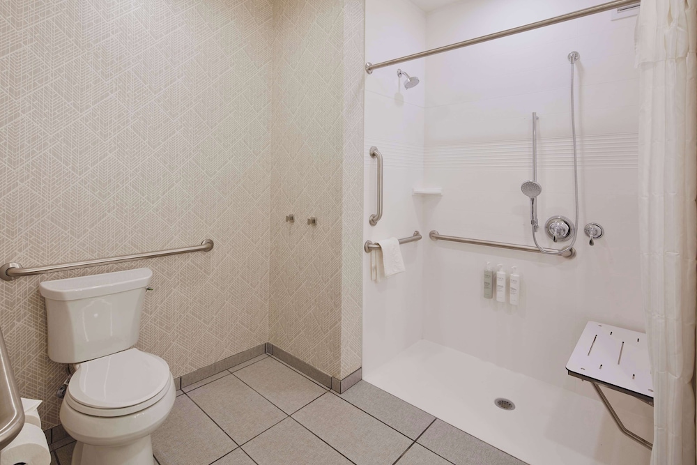 Suite, 1 King Bed, Accessible (Mobility & Hearing, Roll-In Shower) - Photo 10