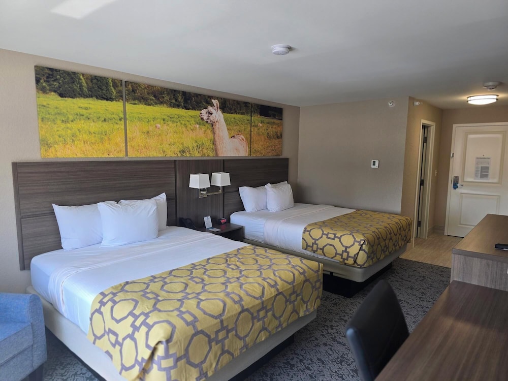 Standard Room, 2 Queen Beds, Non Smoking - Photo 4