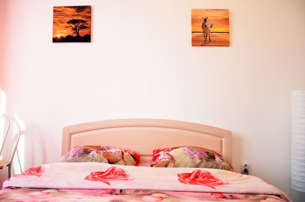 Basic Single Room photo 2