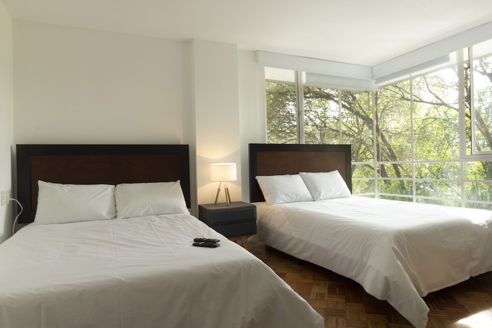 Comfort Suite